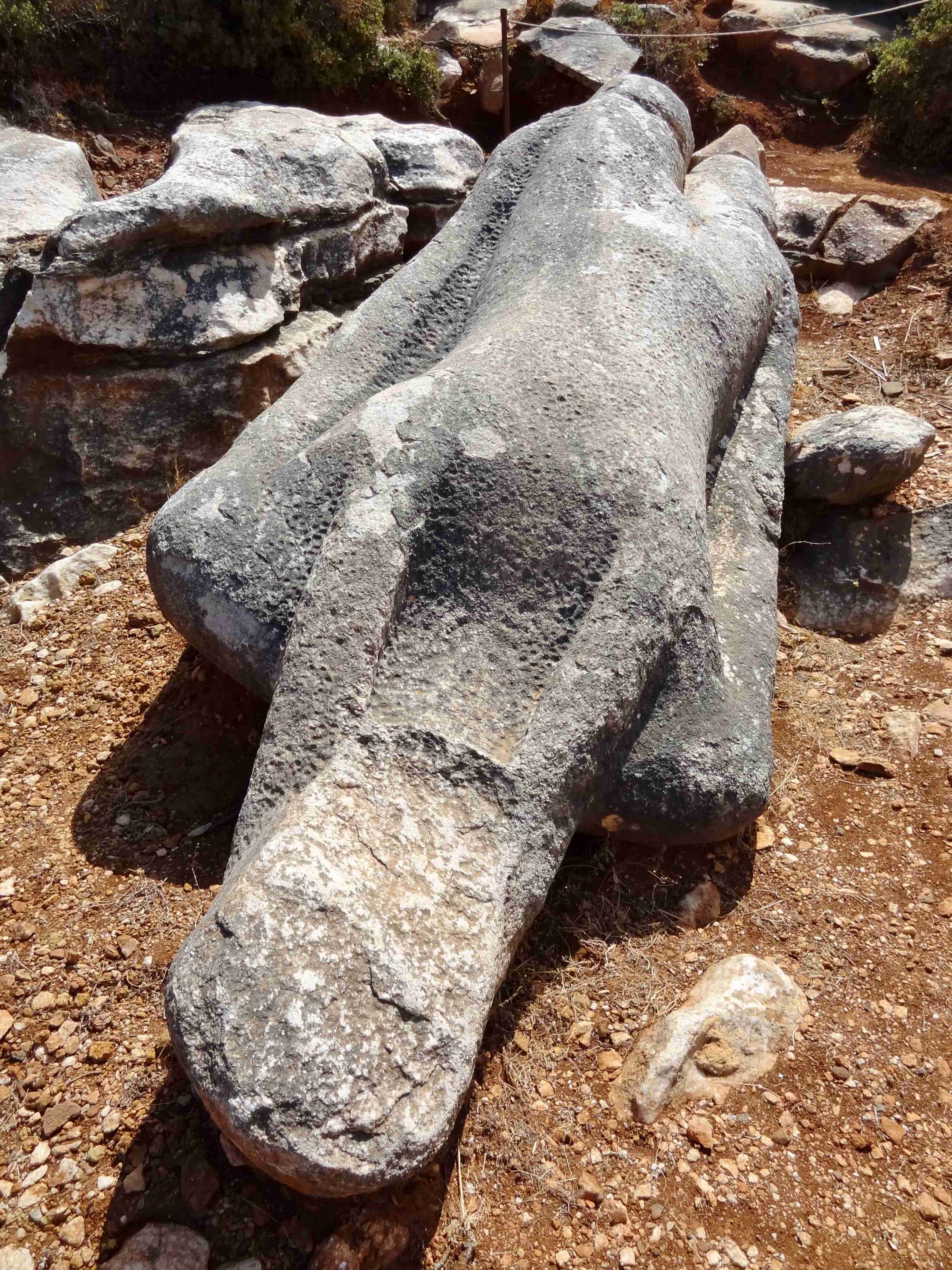 🗿 플레리오의 쿠로이 (쿠로이 멜라논 플레리오)